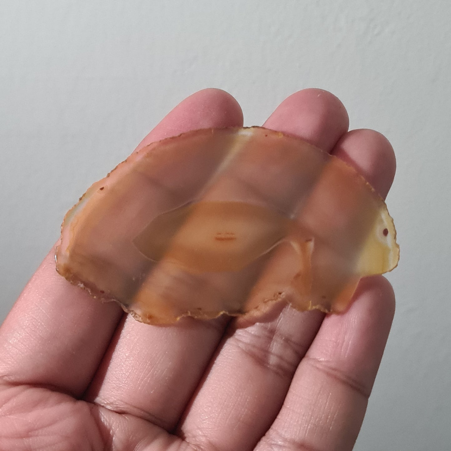42.30 Cts Iris Agate Beautiful Slice - Rare Collection of Indonesia Rainbow Iris Agate