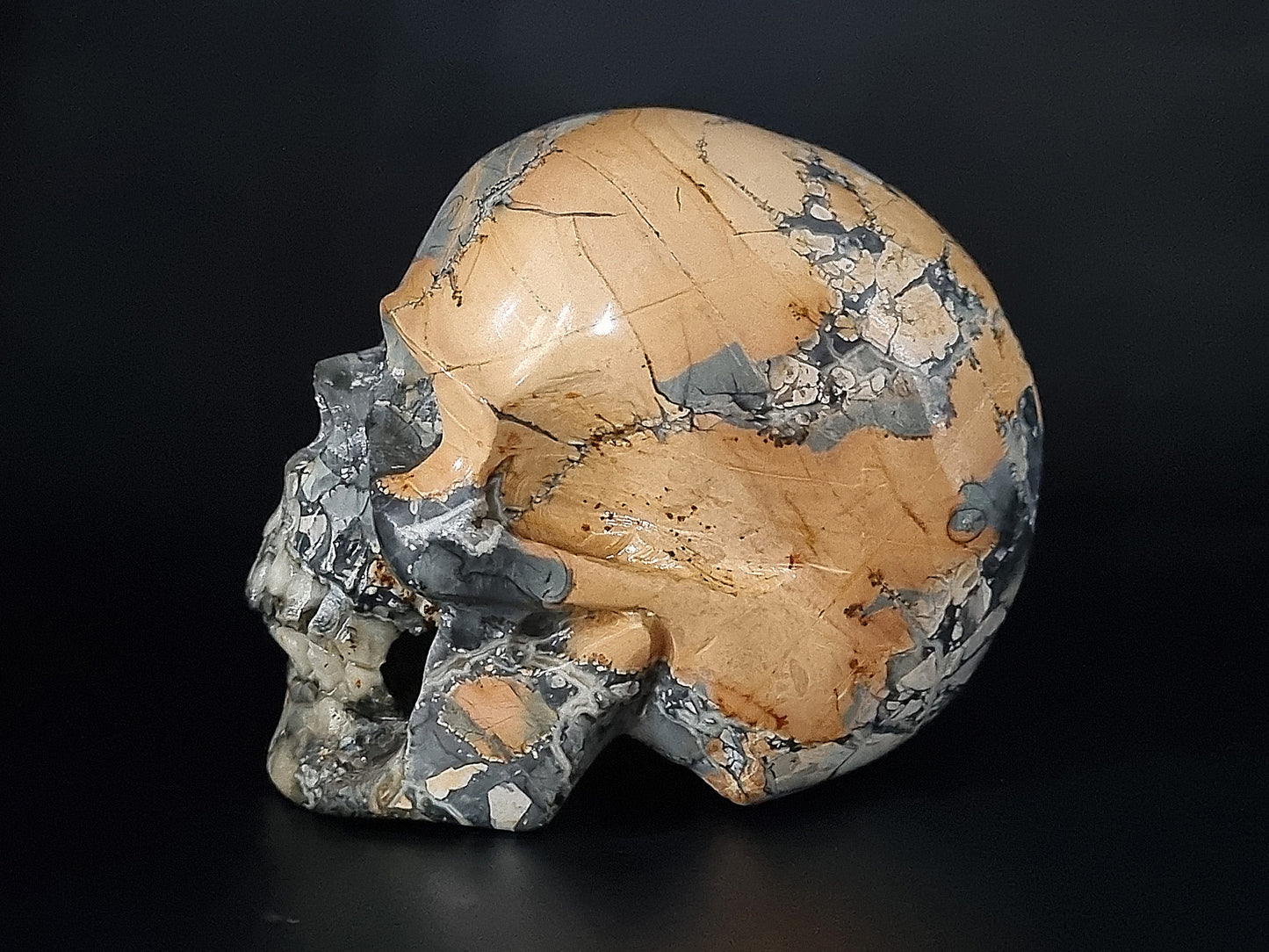 Maligano Jasper Skull