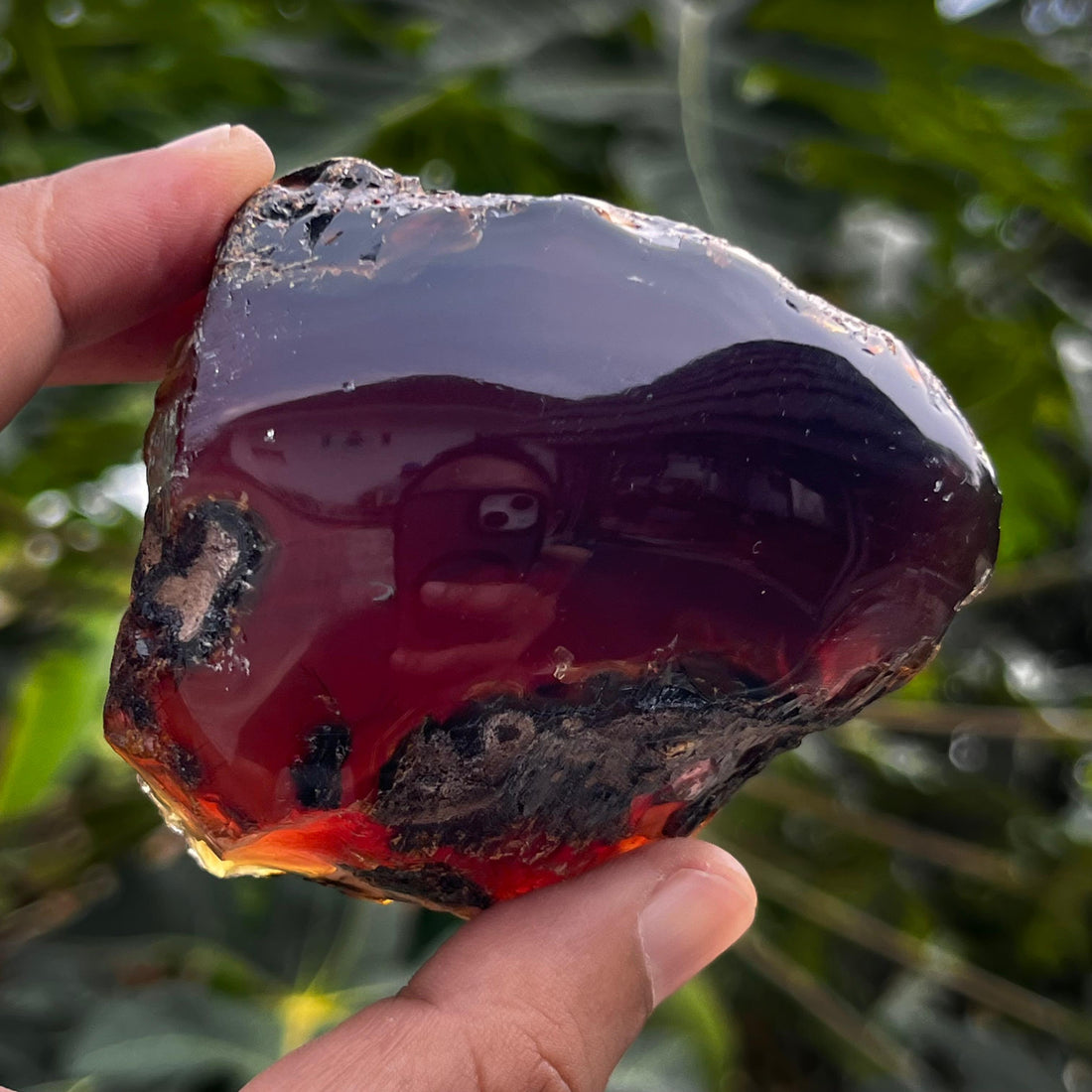 Indonesian Amber: The Golden Fossil Resin with Ancient Beauty and Timeless Appeal