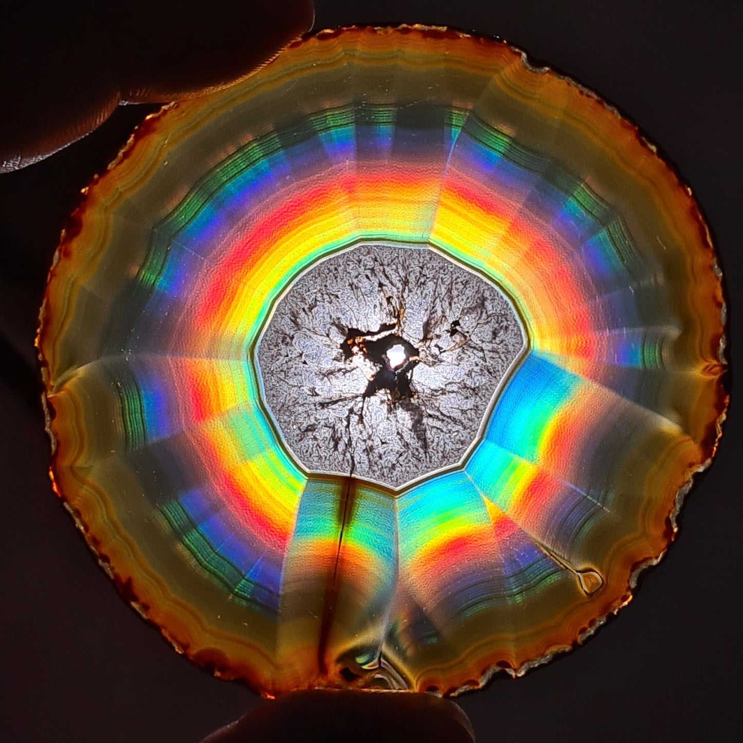 114.50 Cts Premium Rainbow Iris Agate Rounded Slice - Rare Collection of Indonesia Rainbow Iris Agate