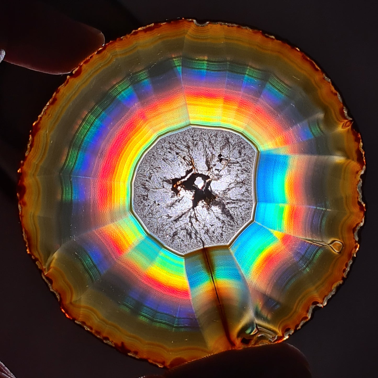 114.50 Cts Premium Rainbow Iris Agate Rounded Slice - Rare Collection of Indonesia Rainbow Iris Agate