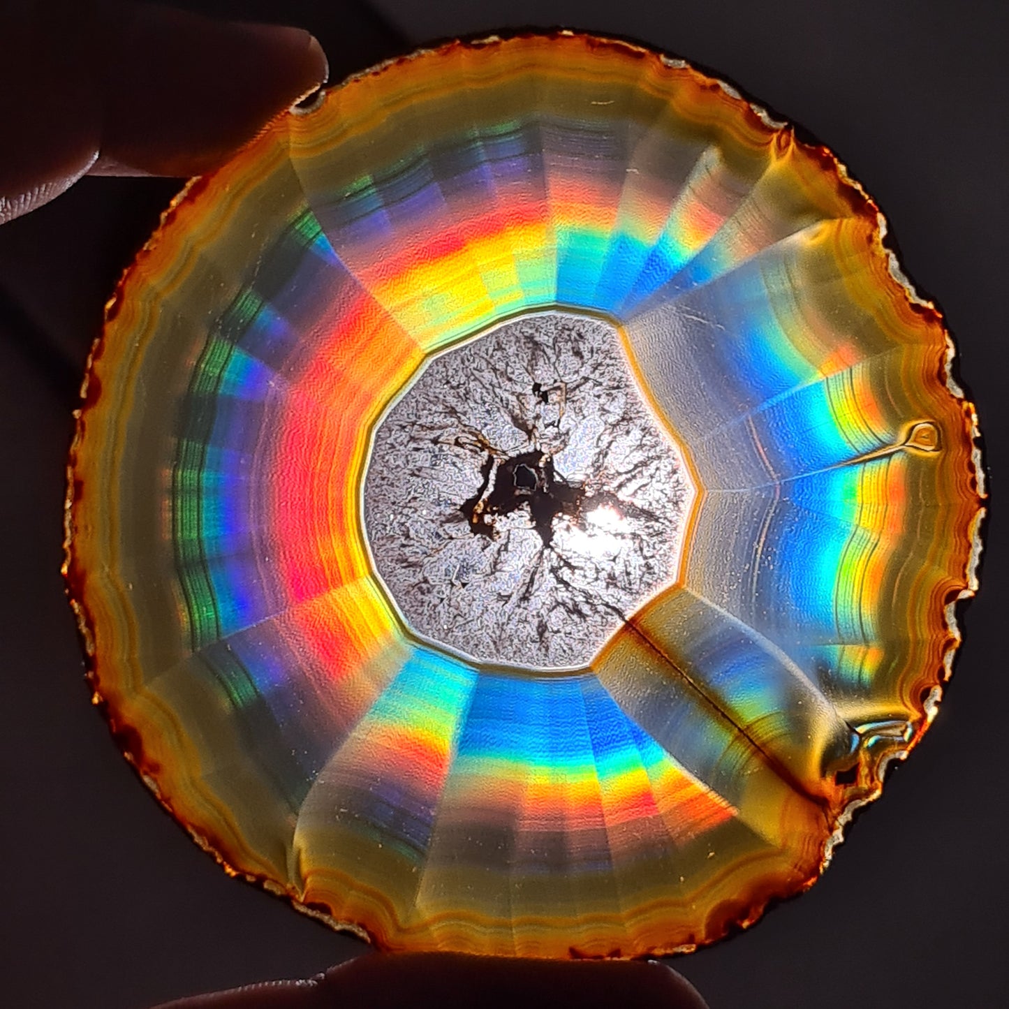 114.50 Cts Premium Rainbow Iris Agate Rounded Slice - Rare Collection of Indonesia Rainbow Iris Agate