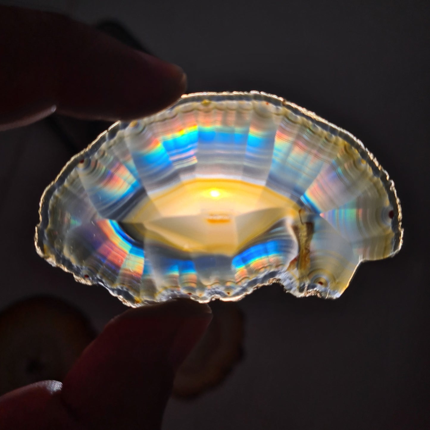 42.30 Cts Iris Agate Beautiful Slice - Rare Collection of Indonesia Rainbow Iris Agate