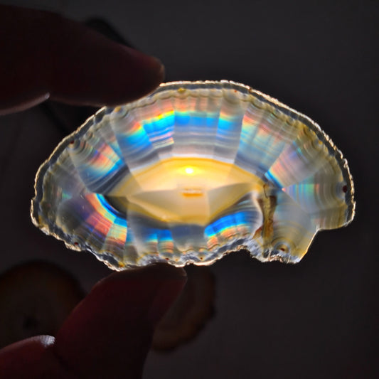 42.30 Cts Iris Agate Beautiful Slice - Rare Collection of Indonesia Rainbow Iris Agate