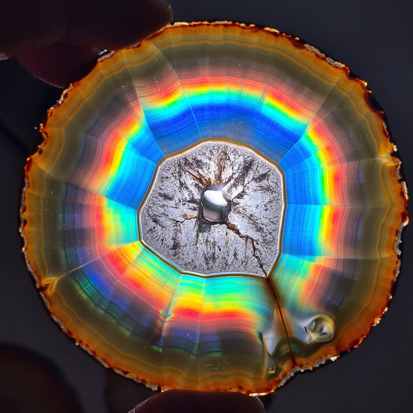 114.70 Cts Premium Rounded Rainbow Iris Agate Slice - Rare Collection of Indonesia Rainbow Iris Agate