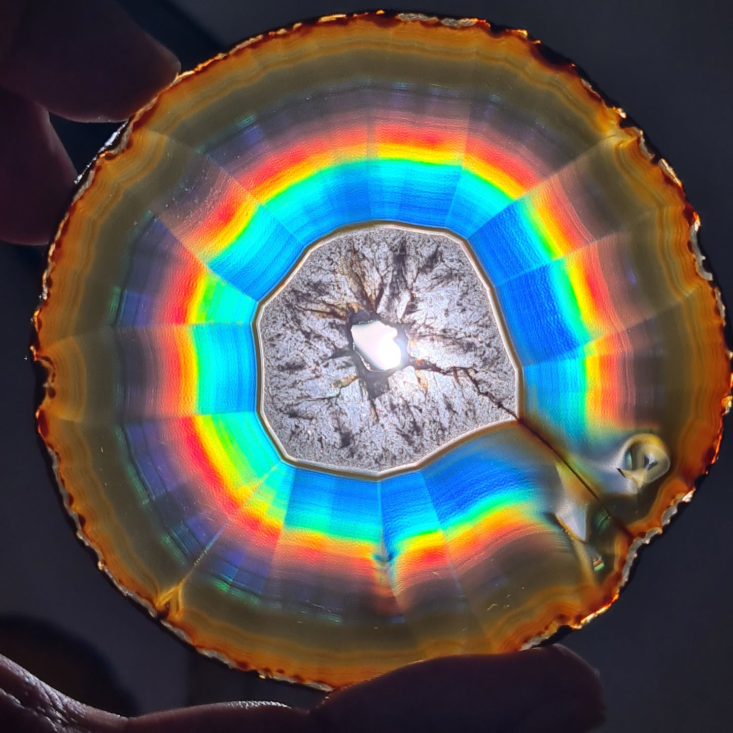 114.70 Cts Premium Rounded Rainbow Iris Agate Slice - Rare Collection of Indonesia Rainbow Iris Agate