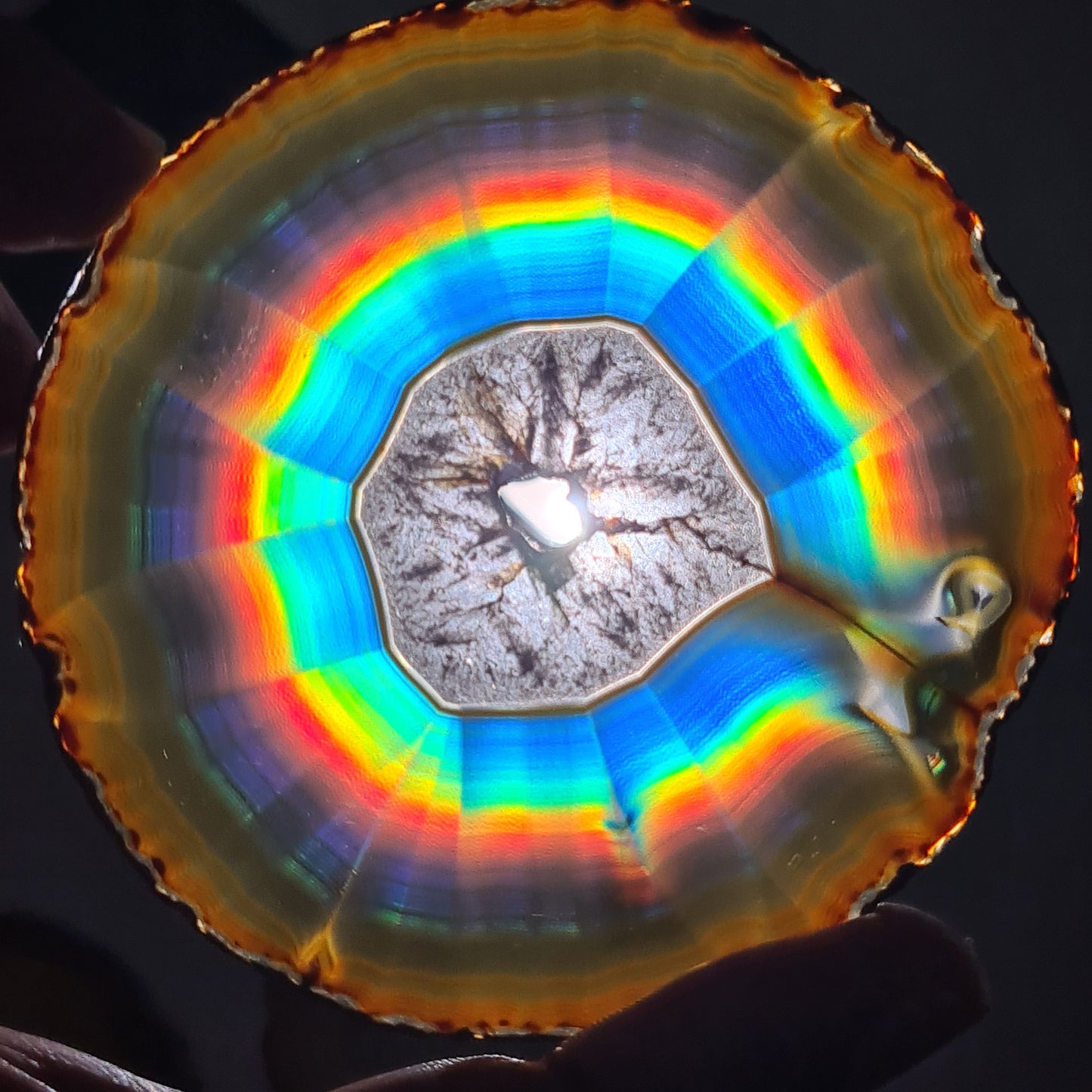 114.70 Cts Premium Rounded Rainbow Iris Agate Slice - Rare Collection of Indonesia Rainbow Iris Agate