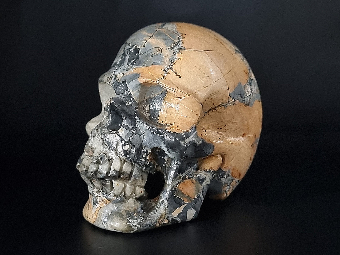 Maligano Jasper Skull